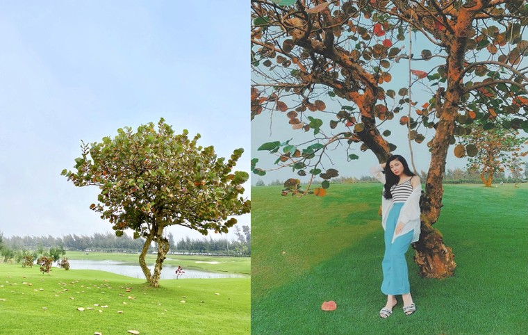 Sầm Sơn đẹp lạ qua nghìn lẻ một kiểu check-in của team 'sống ảo' ảnh 8