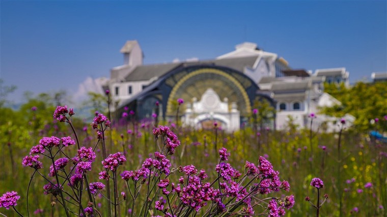 Việt Nam sẽ là một trong những điểm đến đầu tiên hút khách quay lại sau dịch ảnh 2