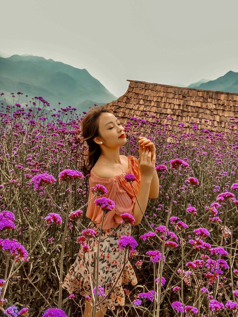 Sun World Fansipan Legend tung gói kích cầu toàn quốc, tặng ngay 250K khi mua vé cáp treo ảnh 9