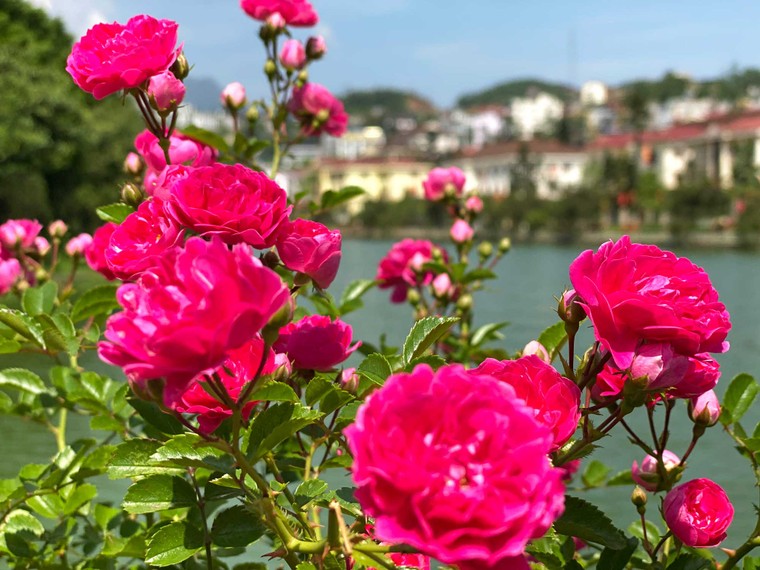 Sun World Fansipan Legend tung gói kích cầu toàn quốc, tặng ngay 250K khi mua vé cáp treo ảnh 1