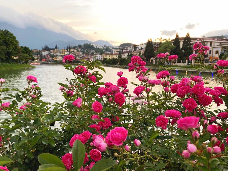 Sun World Fansipan Legend tung gói kích cầu toàn quốc, tặng ngay 250K khi mua vé cáp treo ảnh 2