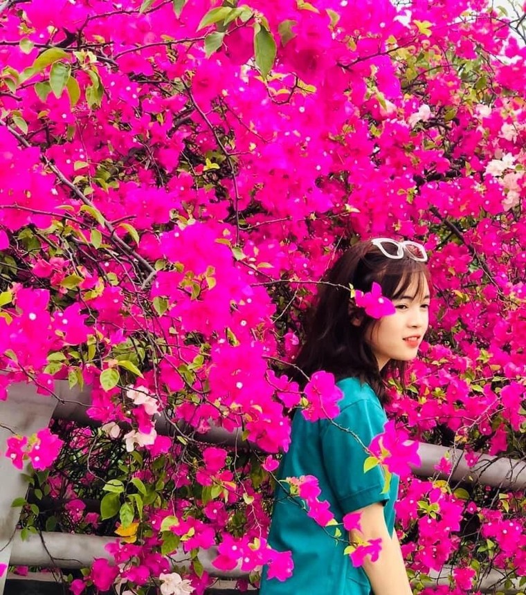 'Phát sốt' với con đường hoa giấy đẹp quên lối về ở Ecopark ảnh 15