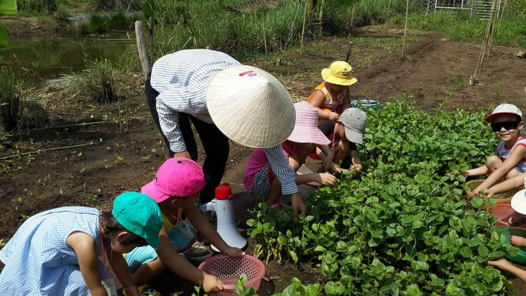 Khám phá thiên đường xanh trong trẻo ngay gần Hà Nội ảnh 8