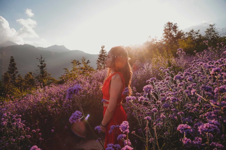 Sa Pa tràn ngập ưu đãi, du khách nô nức check-in giải nhiệt mùa hè ảnh 7