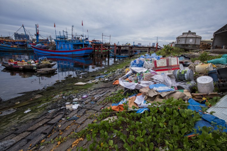 UNESCO chính thức khởi động Sáng kiến ‘Thanh niên và Đổi mới sáng tạo vì Đại dương xanh’ ảnh 1