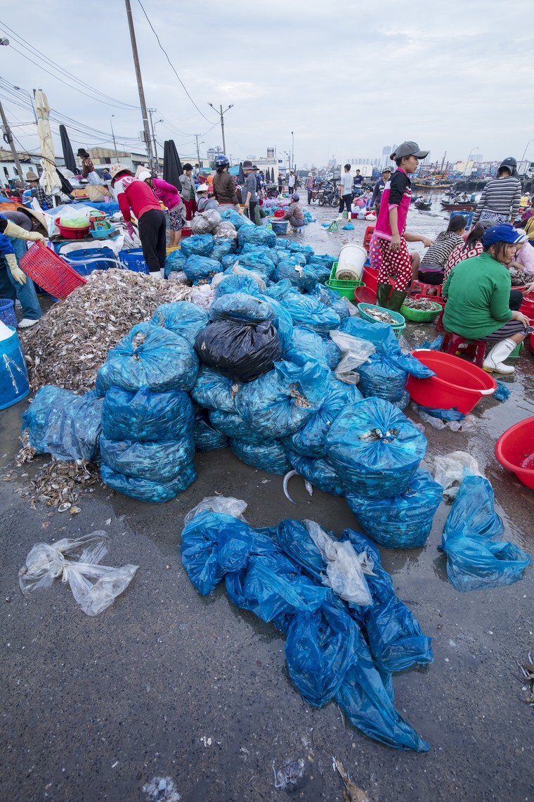 UNESCO chính thức khởi động Sáng kiến ‘Thanh niên và Đổi mới sáng tạo vì Đại dương xanh’ ảnh 2