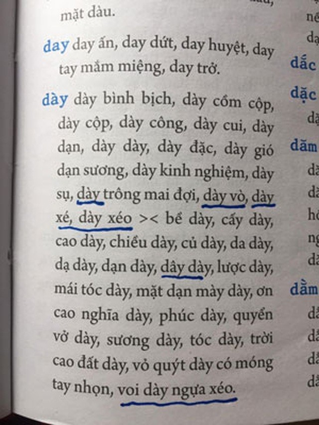 Sai chính tả quá nhiều, cuốn ‘Từ điển chính tả Tiếng Việt’ bị tạm đình chỉ phát hành ảnh 2