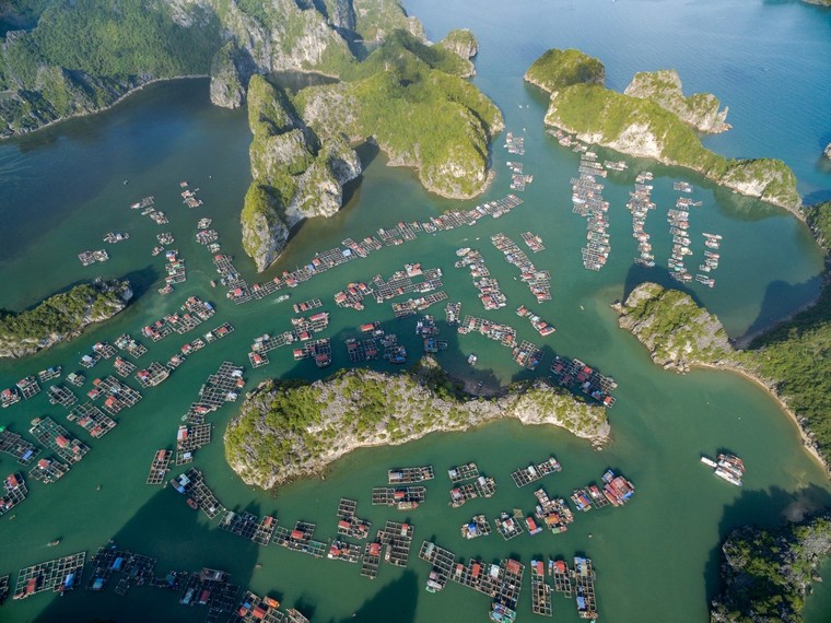 Thêm lý do để Cát Bà trở thành địa danh nhất định phải đến trong đời ảnh 3