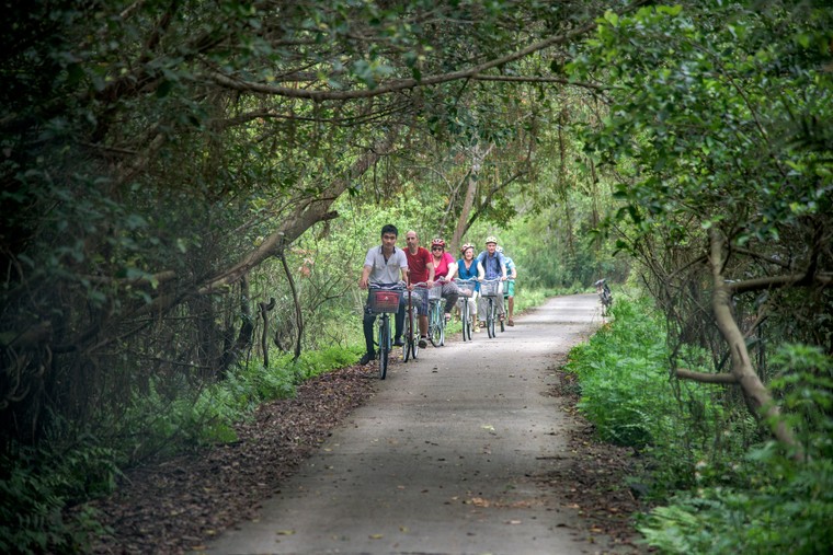 Thêm lý do để Cát Bà trở thành địa danh nhất định phải đến trong đời ảnh 2