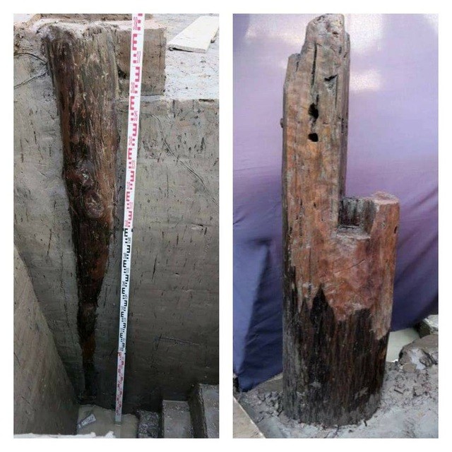 37 cọc gỗ được phát hiện dự đoán là cọc Bạch Đằng thời Trần ảnh 3