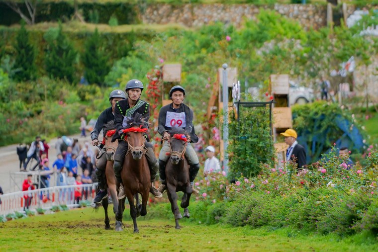 Du khách đổ lên Sa Pa hào hứng xem đua ngựa ảnh 3