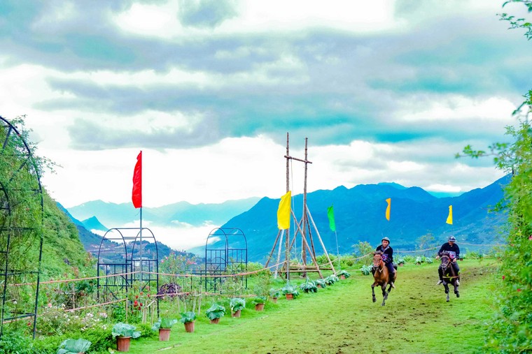 Du khách đổ lên Sa Pa hào hứng xem đua ngựa ảnh 4