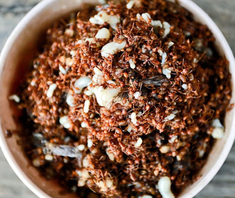 Đâu là tên món ăn đặc sản ở Kon Tum?