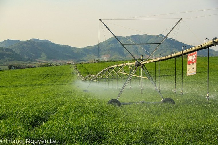 Tập đoàn TH và hành trình biến người nông dân miền biên viễn thành những ‘công dân 4.0’ ảnh 3