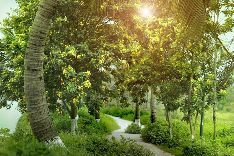 Ngắm bình minh đẹp tựa tranh vẽ tại khu đô thị xanh Ecopark ảnh 4