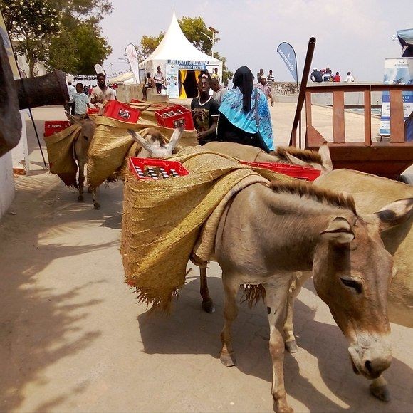 Muốn bảo tồn phải sống được bằng di sản ảnh 1