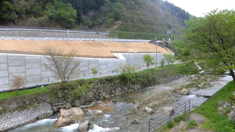 Phá rừng và công cuộc 'sửa sai' của Nhật Bản ảnh 2