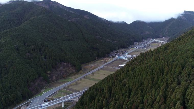 Phá rừng và công cuộc 'sửa sai' của Nhật Bản ảnh 3