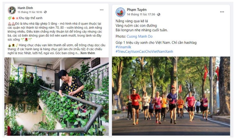 Thêm hàng ngàn cây xanh được trồng qua chiến dịch 'Triệu cây vươn cao cho việt nam xanh' ảnh 1