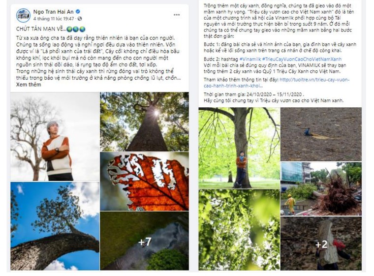 Thêm hàng ngàn cây xanh được trồng qua chiến dịch 'Triệu cây vươn cao cho việt nam xanh' ảnh 3