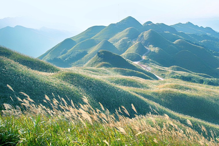 Quảng Ninh hút khách du lịch bởi những trải nghiệm cuối năm phong phú ảnh 4