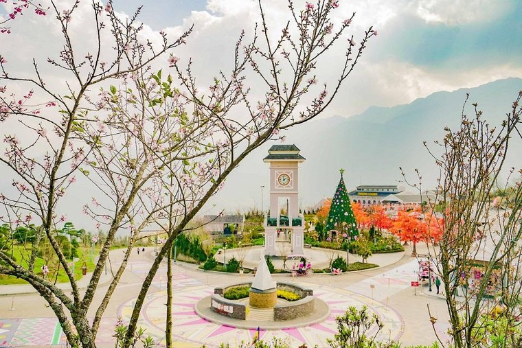 Sun World Fansipan Legend: Anh đào Nhật Bản nở rộ, đẹp như chốn Phù Tang ảnh 5