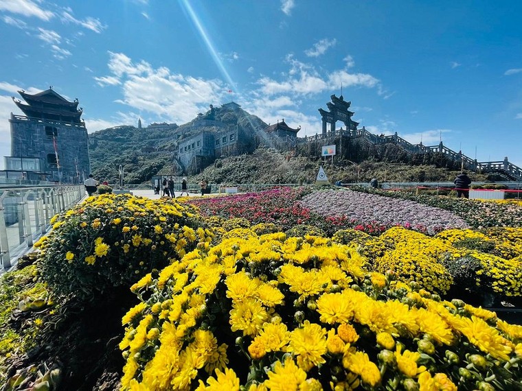 Sun World Fansipan Legend: Anh đào Nhật Bản nở rộ, đẹp như chốn Phù Tang ảnh 6