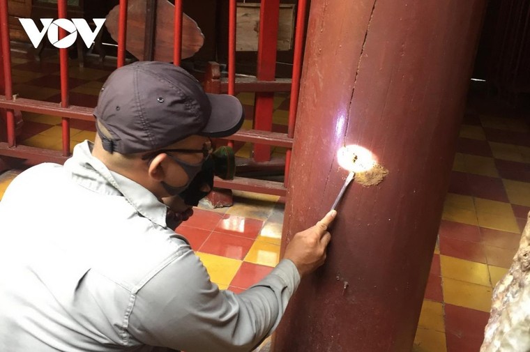 Nhiều di tích ở Hội An bị mối mọt xâm hại nghiêm trọng ảnh 2