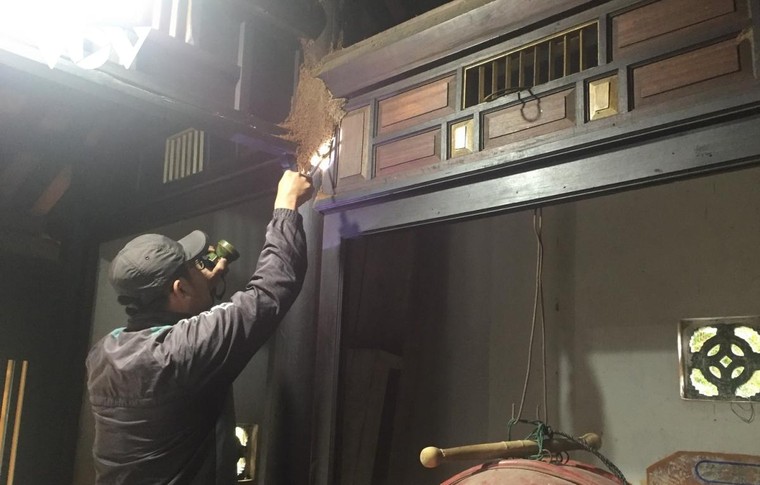 Nhiều di tích ở Hội An bị mối mọt xâm hại nghiêm trọng ảnh 4