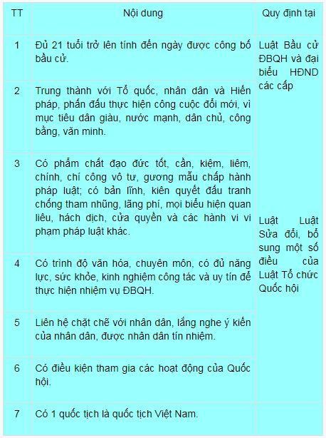 Công dân có quyền tự ứng cử ĐBQH nếu đủ tiêu chuẩn ảnh 1