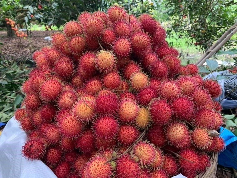 Dẫn người phụ nữ bạn yêu thương đến đây để có một ngày 8/3 ý nghĩa ảnh 2