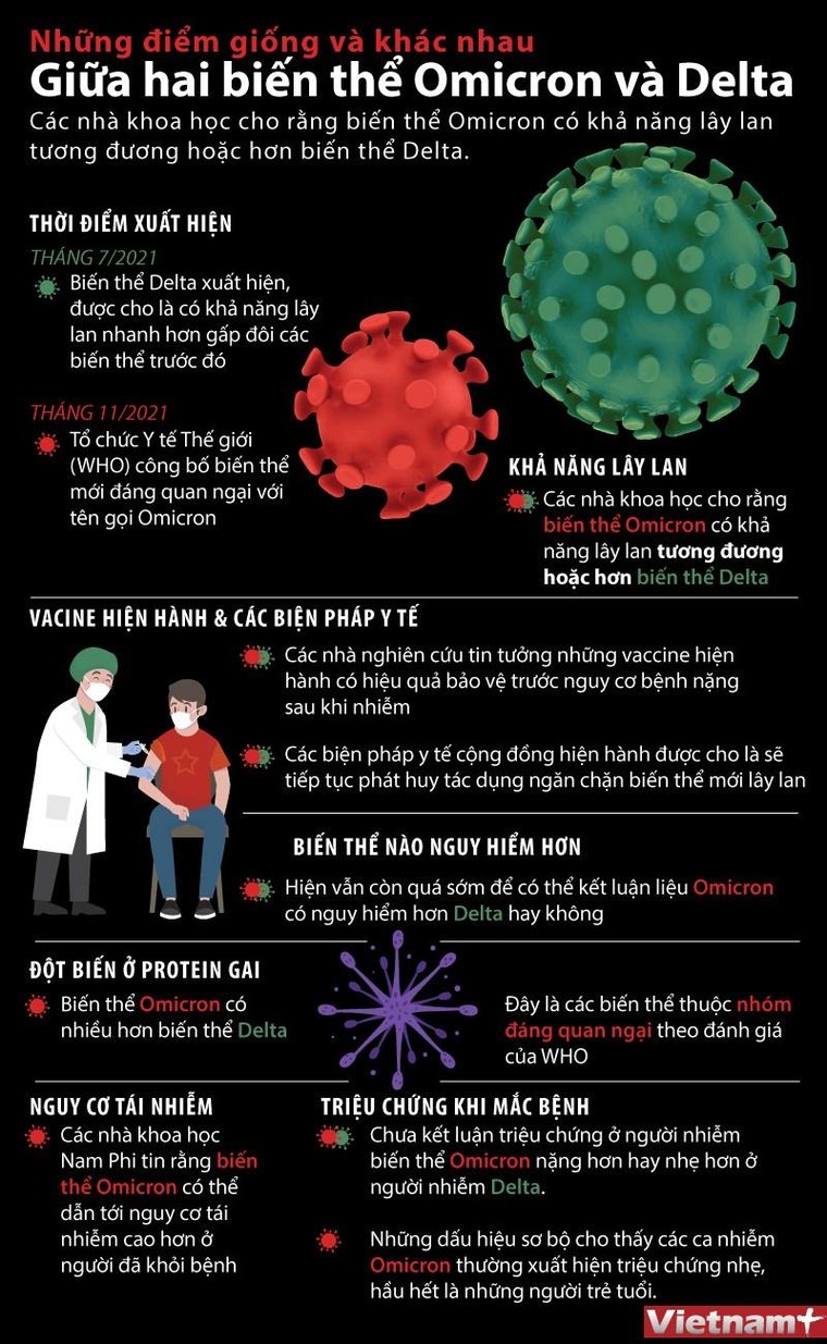 Biến thể Omicron và biến thể Delta giống và khác nhau như thế nào? ảnh 1