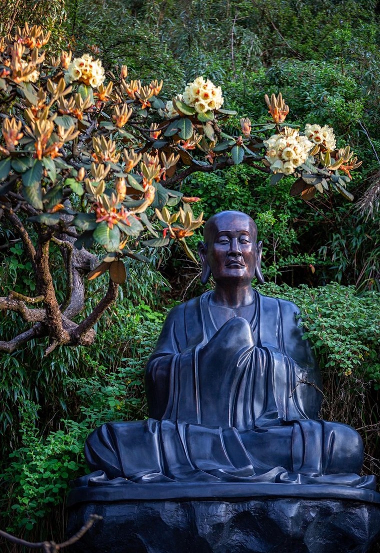 Hoa đỗ quyên nở rộ trên đỉnh Fansipan đúng dịp 30/4-1/5 ảnh 2