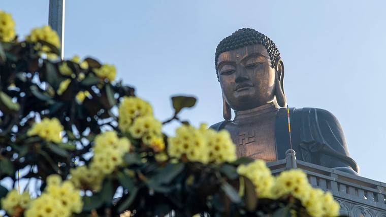 Hoa đỗ quyên nở rộ trên đỉnh Fansipan đúng dịp 30/4-1/5 ảnh 3