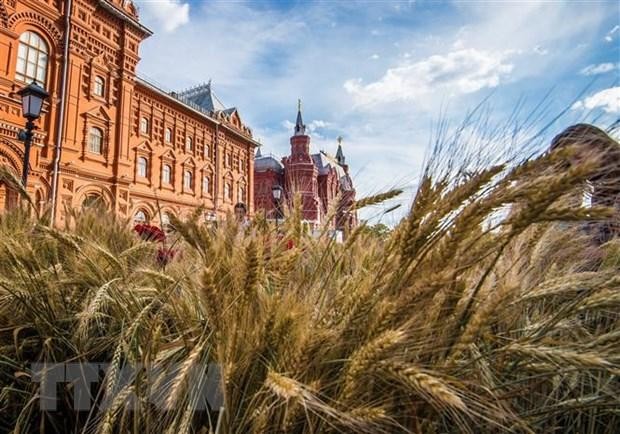 Xung đột Nga-Ukraine: Những hệ lụy khôn lường với kinh tế toàn cầu ảnh 1