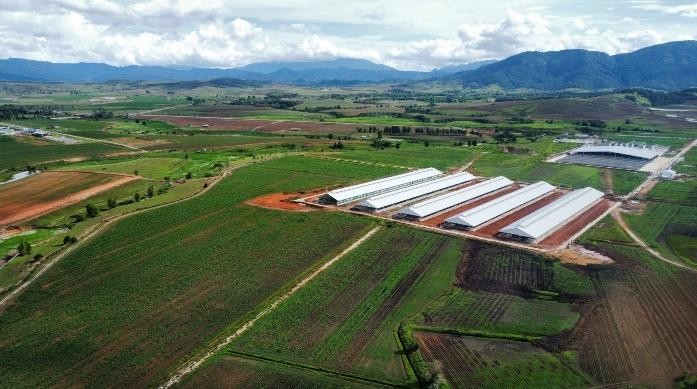 Vinamilk nhập đàn bò sữa 1000 con từ Mỹ về tổ hợp trang trại tại Lào ảnh 6