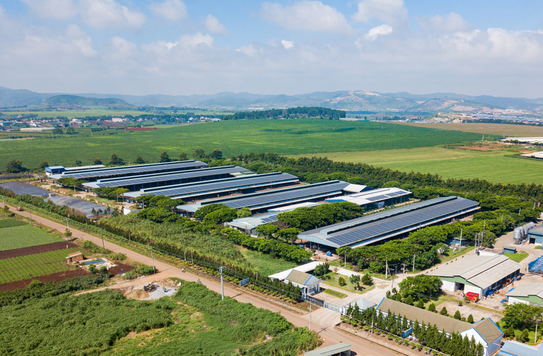 Cụm trang trại bò sữa Vinamilk Đà Lạt được vinh danh tại Giải thưởng Môi trường Việt Nam ảnh 3