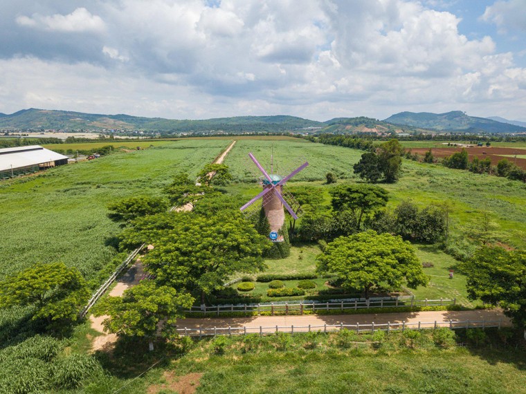 Cụm trang trại bò sữa Vinamilk Đà Lạt được vinh danh tại Giải thưởng Môi trường Việt Nam ảnh 5