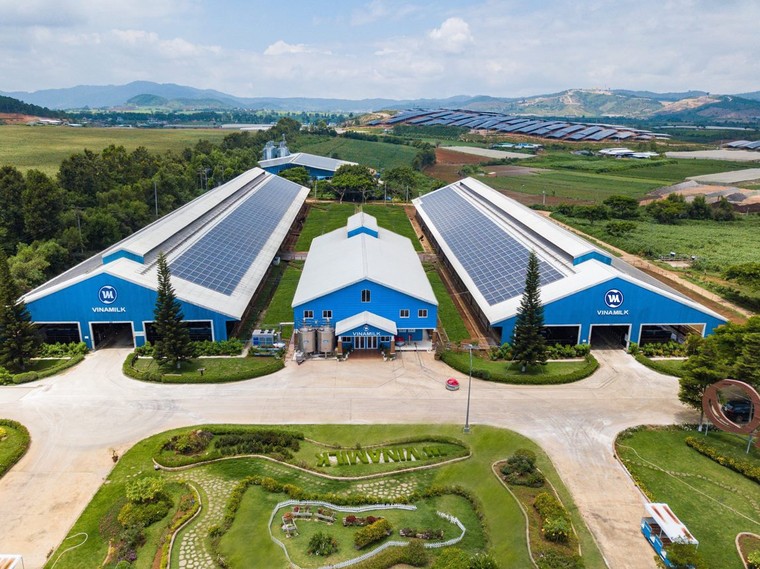 Sữa tươi đầu tiên trên thế giới đạt chứng nhận của tổ chức clean label project thuộc ‘nhà Vinamilk’ ảnh 5