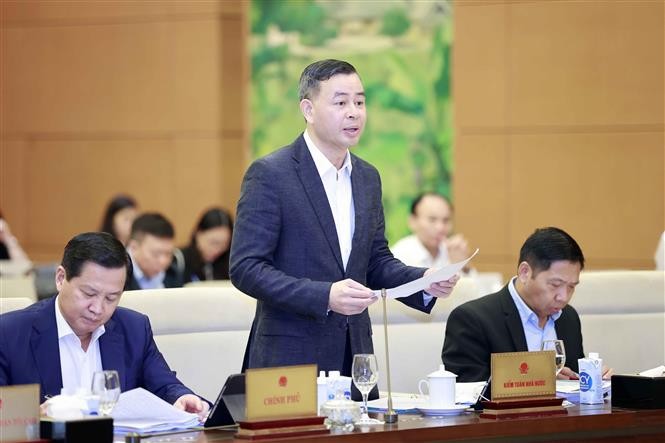 Xem xét mở rộng đối tượng của Pháp lệnh Xử phạt vi phạm hành chính trong lĩnh vực kiểm toán nhà nước ảnh 1