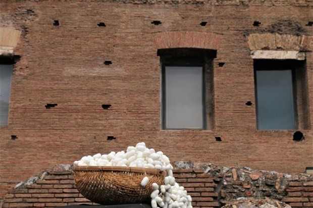 Tơ lụa Việt Nam hoàn toàn chinh phục bạn bè quốc tế tại Italy ảnh 5