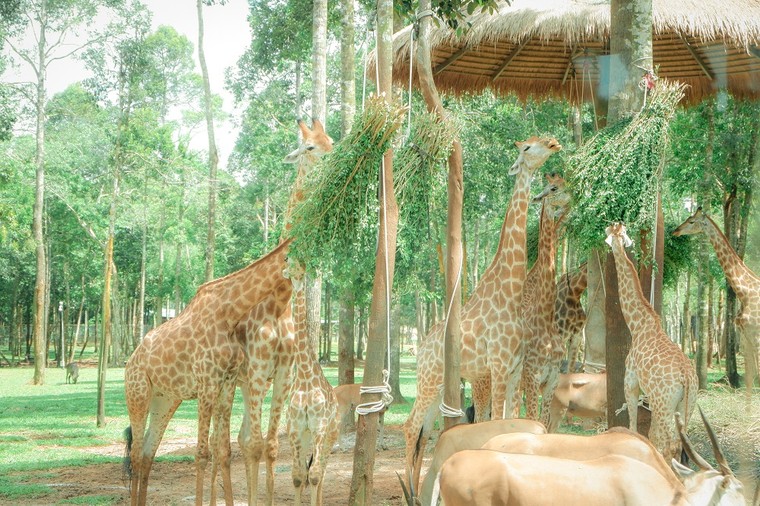 Những bất ngờ dành cho hội cạ cứng chỉ có tại Phú Quốc United Center ảnh 8