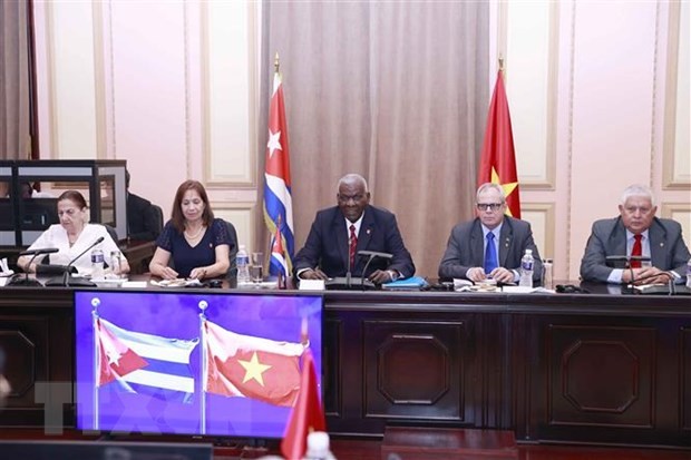 Quan hệ đặc biệt Việt Nam-Cuba phát triển sinh động và thực chất ảnh 2