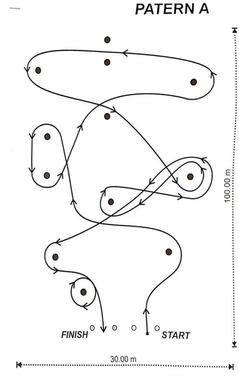 Toyota Wigo - chiếc xe được lựa chọn để đua Auto Gymkhana ảnh 2
