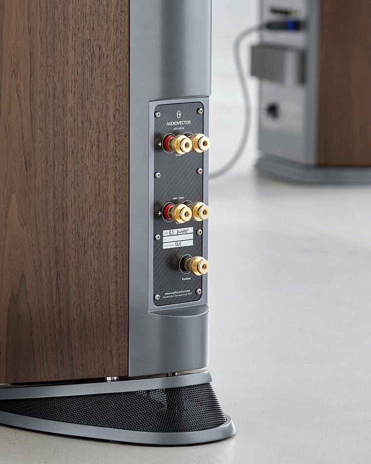 AudioVector ra mắt dòng sản phẩm loa Series R thế hệ mới ảnh 4