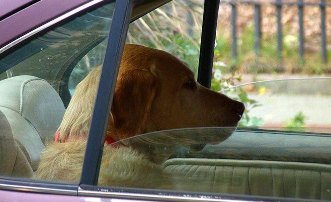 Mẹo sử dụng điều hoà hiệu quả trời nắng nóng ảnh 1