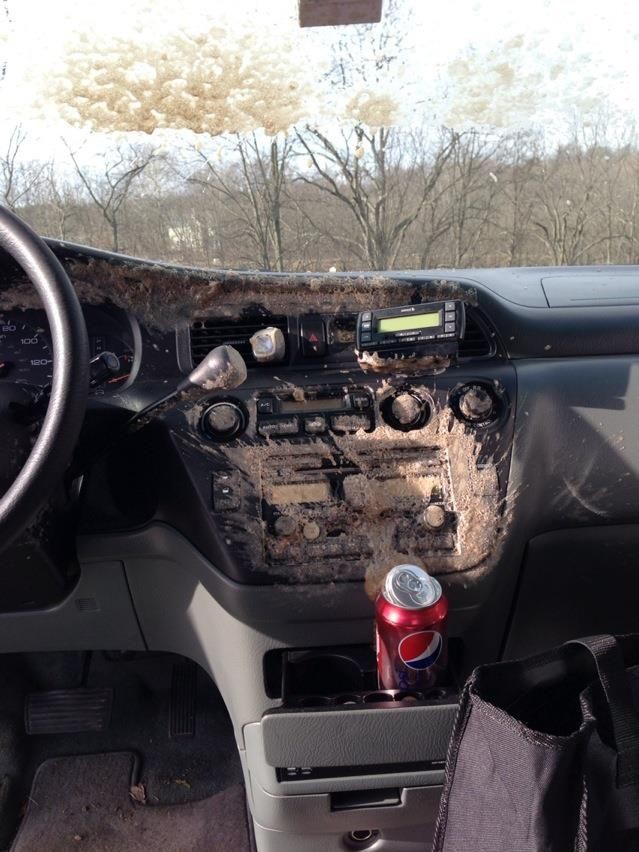 Những vật dụng không nên để trong ô tô khi đỗ dưới trời nắng nóng ảnh 1