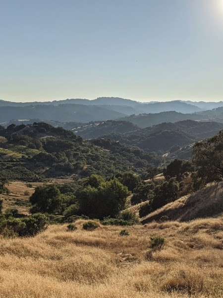 Google Pixel 4a 5G, chiếc điện thoại đáng đồng tiền nhất của Google trong năm nay ảnh 4