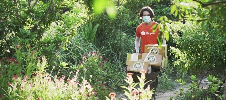 Nhãn Hưng Yên và một mùa thu hoạch thật khác ảnh 4