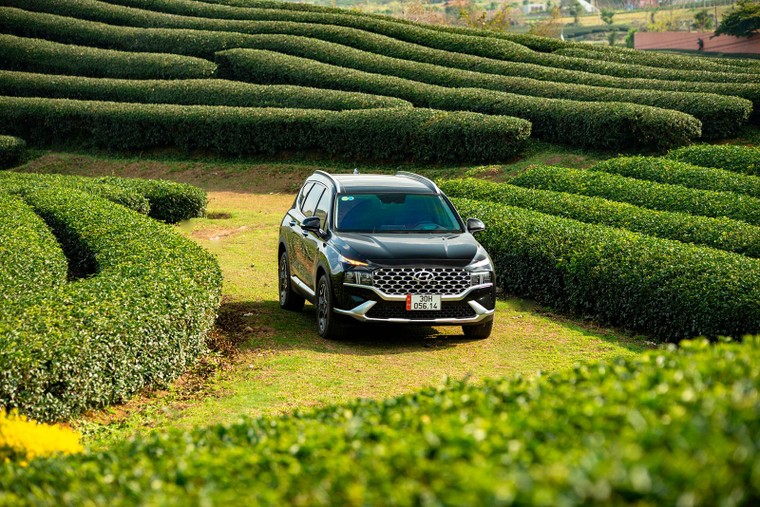 Doanh số Hyundai tháng 07/2022, tăng 35,2% so với tháng 06/2022 ảnh 3